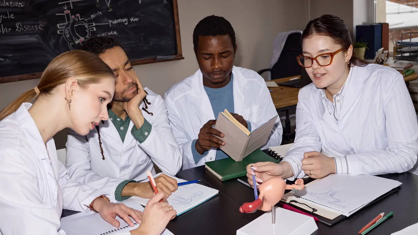 Four medical students studying together at a table with notebooks and an anatomy model